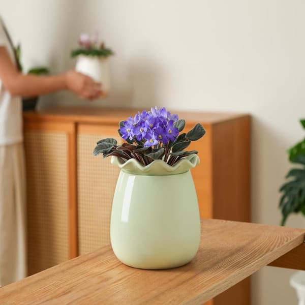 6 Inch Green Self-Watering Ceramic Planter, Indoor Pot for African