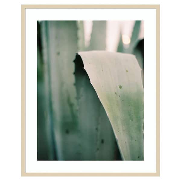 Amanti Art Succulent I by Justine Milton 33 in. W x 41 in. H. Wood Framed Wall Art Print Framed in Brown