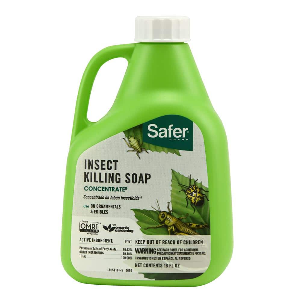 Safer Brand 16 oz. Outdoor Insect Killing Soap Concentrate 5118-6 - The  Home Depot