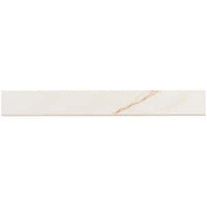 Essential Marble Borghini 3 in. x 24 in. Satin Porcelain Bullnose Wall Tile