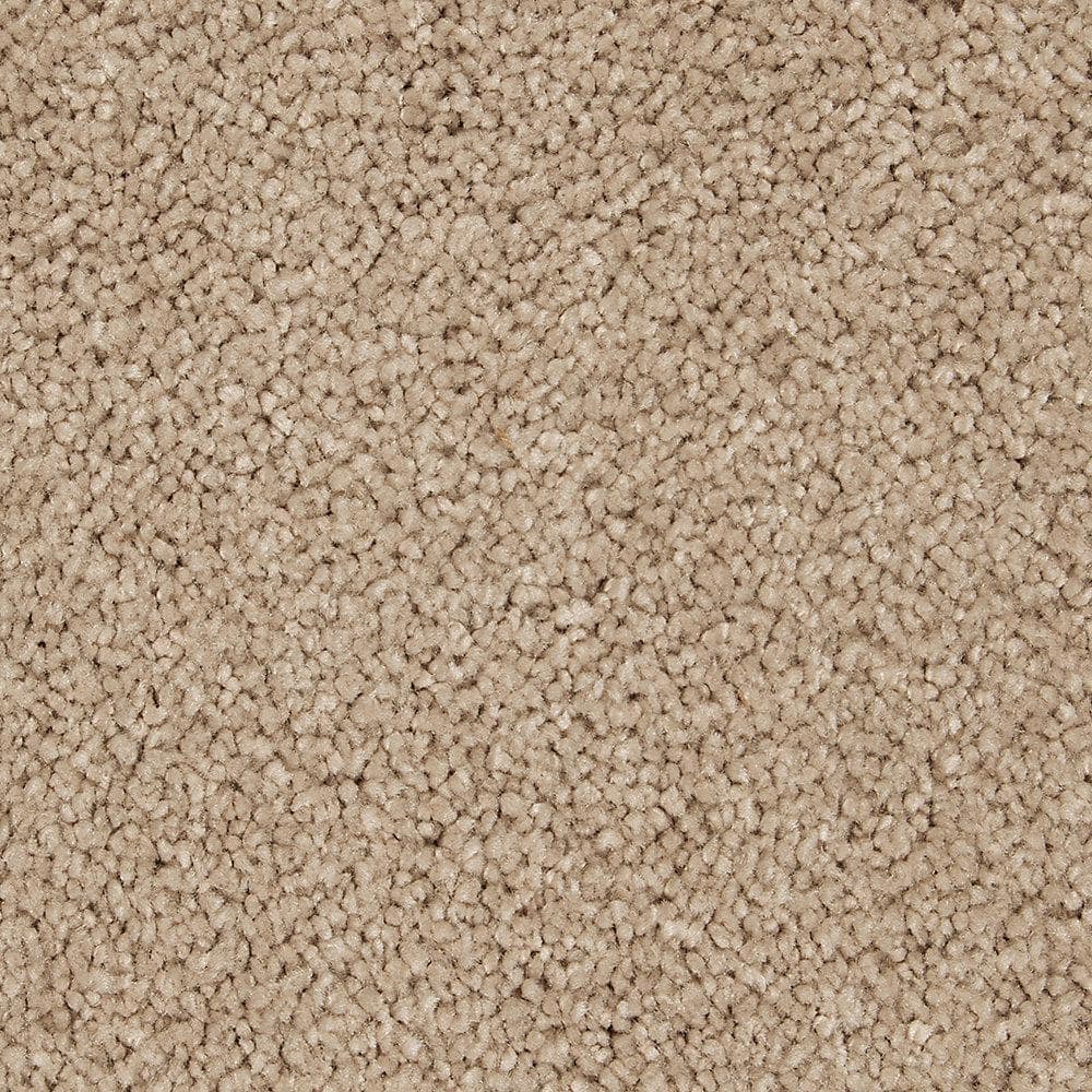 Lifeproof With Petproof Technology Castle Ii Camelot Beige 60 Oz Triexta Texture Installed Carpet 0760d 31 12 The