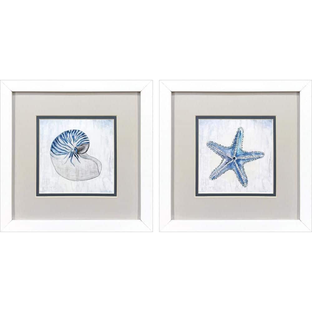 2 Piece Framed Graphic Print Nautical & Beach 11.00 in. x 11.00 in. price history on PriceWatchPro