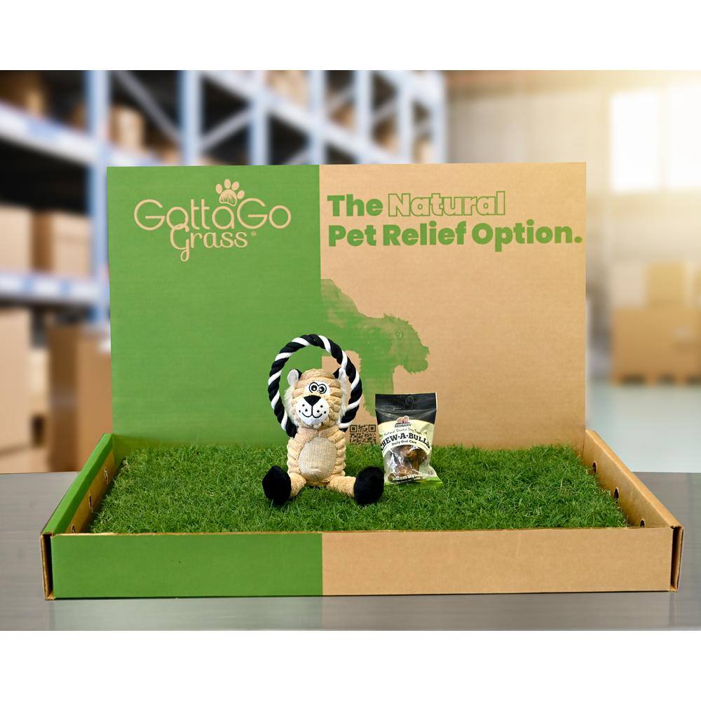Gotta Go Grass with Tray Plus Treat Plus Squeaky Toy (2-Pack )
