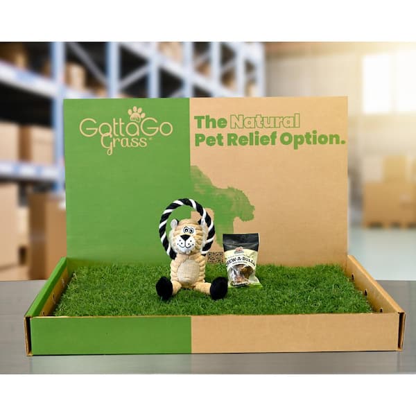 Unbranded Gotta Go Grass with Tray Plus Treat Plus Squeaky Toy (2-Pack )