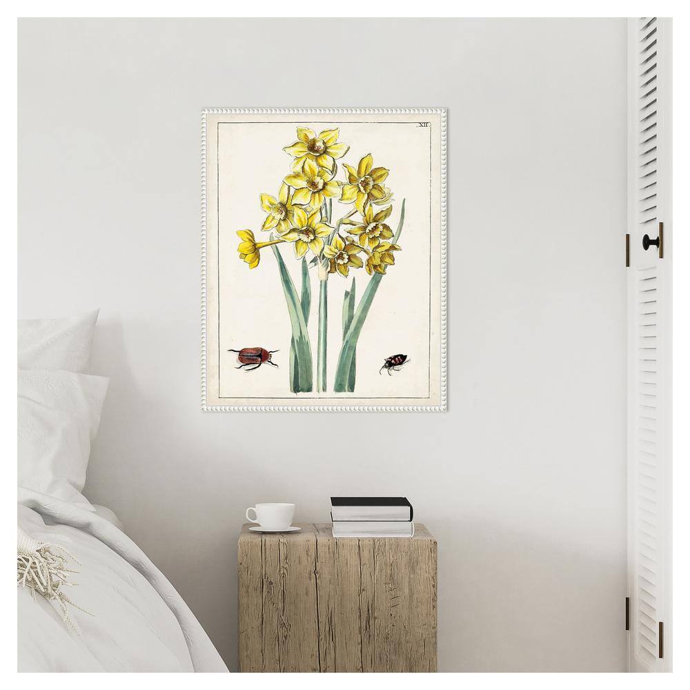 Dutch Florals III Yellow Daffodils Canvas Print with White Frame