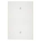 Leviton 1-Gang No Device Blank Plastic Jumbo Wall Plate, White 002 ...
