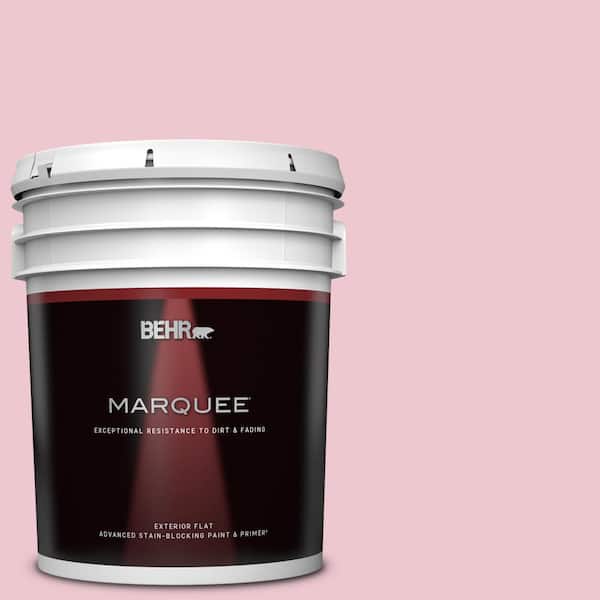 BEHR MARQUEE 5 gal. #M140-2 Funny Face Flat Exterior Paint & Primer
