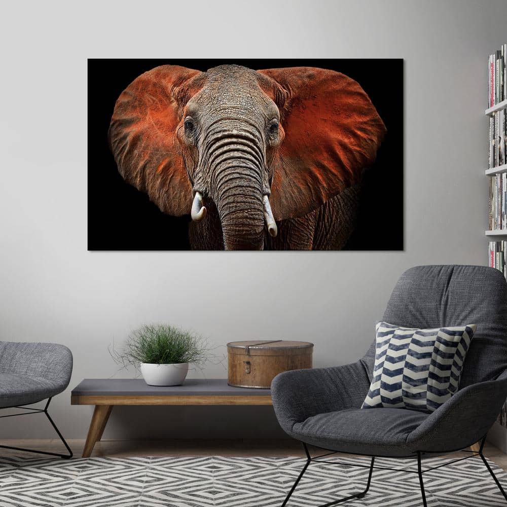 Large Elephant Close-Up Tempered Glass Wall Art