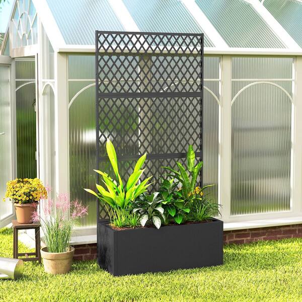 lavender plants pictures Renee's Garden Container Herbs White Ice Lavender Seeds