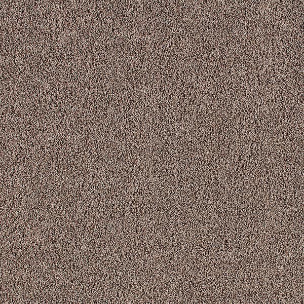 Lifeproof Gorrono Ranch II  - Crewelwork - Brown 38 oz. Triexta Texture Installed Carpet