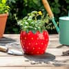 Tlence 2 Pack Ceramic Strawberry Decor