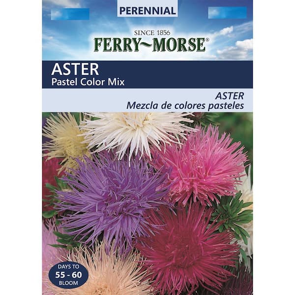 Ferry-Morse Aster Pastel Color Mix Seed