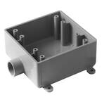 Carlon 2-Gang 34 cu. in. Old Work PVC Heavy Wall Electrical Box-BH234R ...