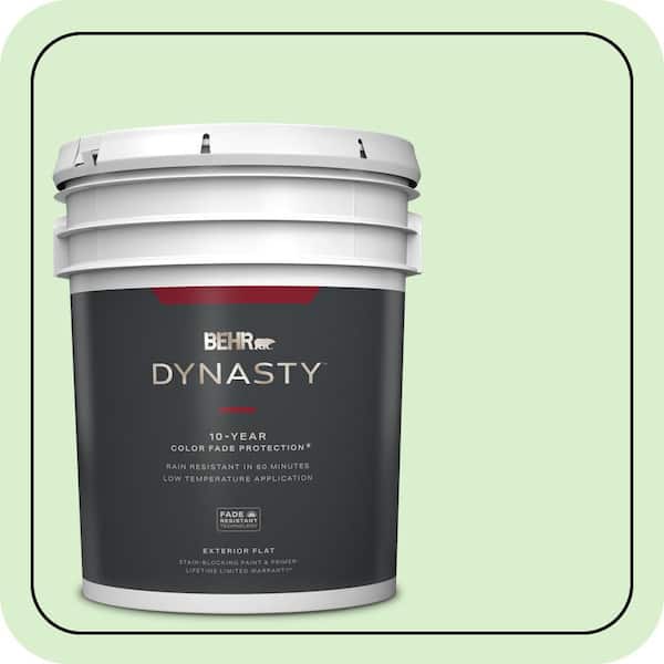 BEHR DYNASTY 5 gal. #430A-2 Seafoam Spray Flat Exterior Stain-Blocking Paint & Primer