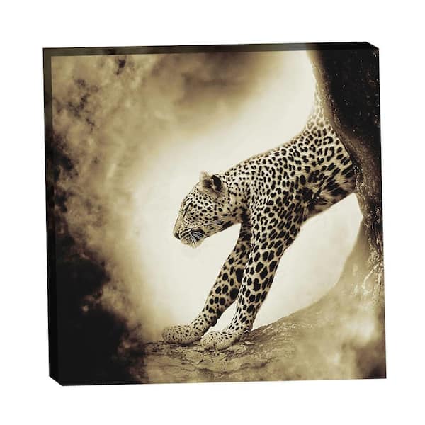VENICE BEACH Collections Leopard Stretch to the Light by Grotto Studios 1-Piece Unframed Graphic Print Animal Poster Art Print 30 in. x 30 in.