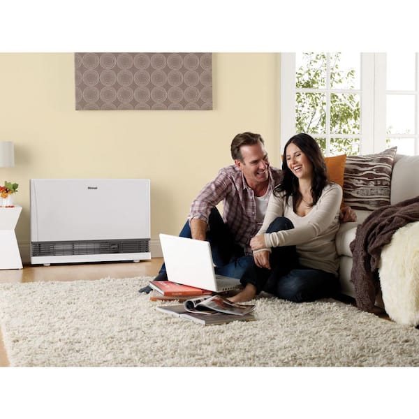 Rinnai EnergySaver 21,500 BTU Direct Vented Wall Furnace Natural