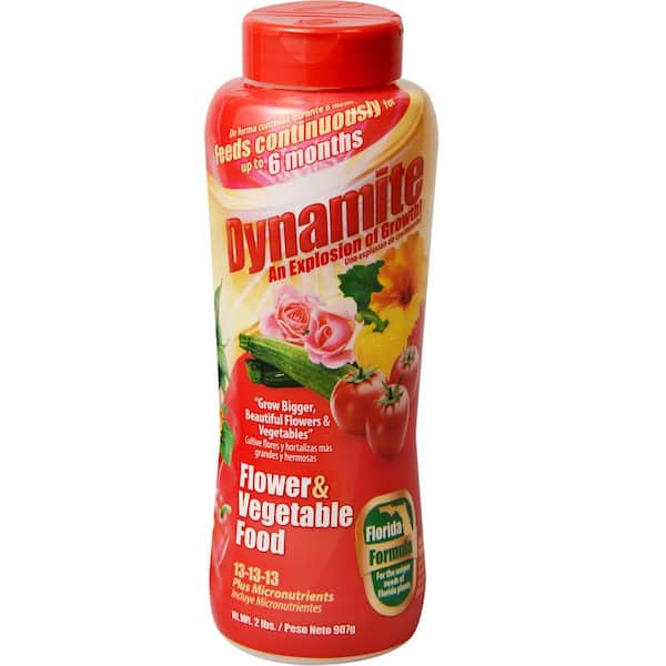 Dynamite 2 lbs. Flower and Vegetable Food, Florida Formula