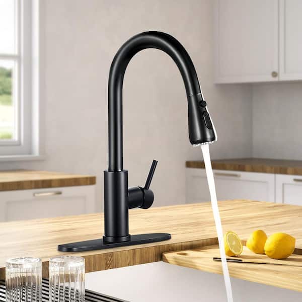 AKLFGN 1-Handle Pull Down Sprayer Kitchen Faucet Single Level