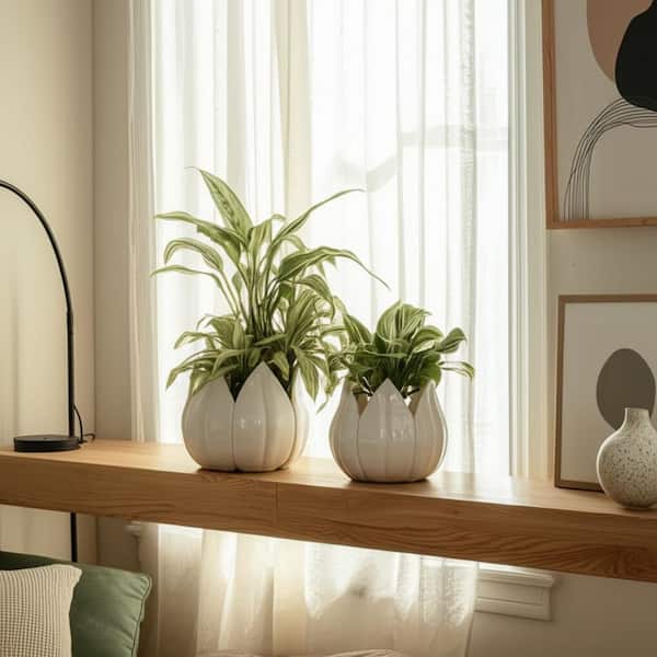 Liv & Skye 8 in. x 8 in. White Ceramic Tulip Petal Decorative Pots