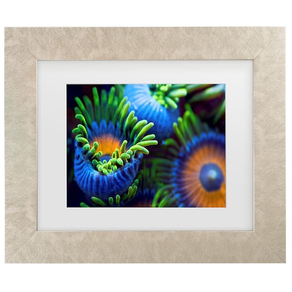 Trademark Fine Art Santiago Pascual Buye The Colors Of The Reef Ii Matted Framed Photography Wall Art 19.5 in. x 23.5 in.