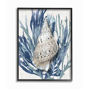 "Shell Coral Blue Beach Design" by Caroline Kelly Framed Nature Wall Art Print 24 in. x 30 in.