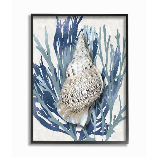 Stupell Industries "Shell Coral Blue Beach Design" by Caroline Kelly Framed Nature Wall Art Print 24 in. x 30 in.