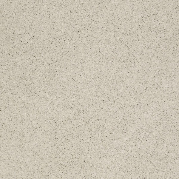 SoftSpring Carpet Sample - Miraculous II - Color Biscuit Texture 8 in. x 8 in.