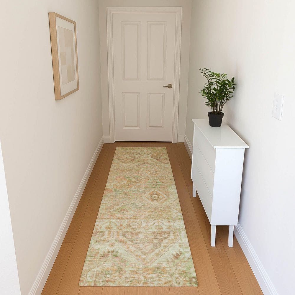 Mayfield Premium Machine Washable Abstract AMF1664 Salmon 2 ft. 3 in. x 7 ft. 6 in. Runner Rug price history on PriceWatchPro