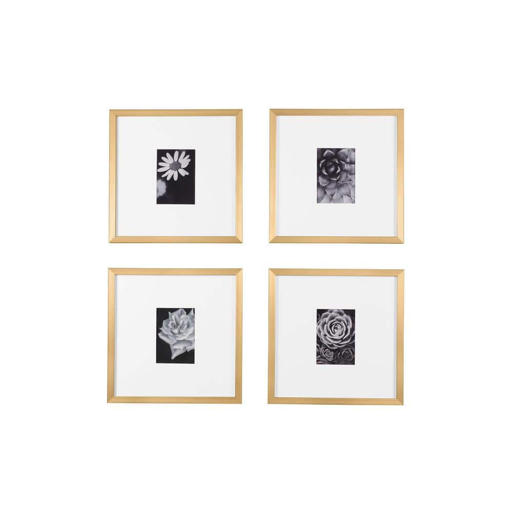 Gallery Brass Picture Frames with White Mats
