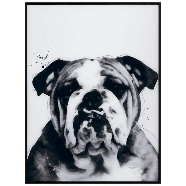  Empire Art Direct Weimaraner Black and White Pet Dog Wall Art  on Printed Glass Encased with a Black Anodized Frame, Ready to Hang, Living  Room, Bedroom & Office, 24 x 18