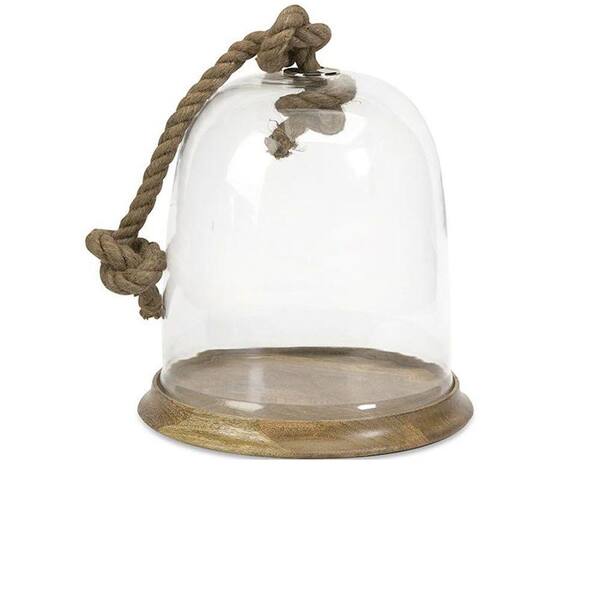 Unbranded 15 in. H Large Clear Nantucket Cloche