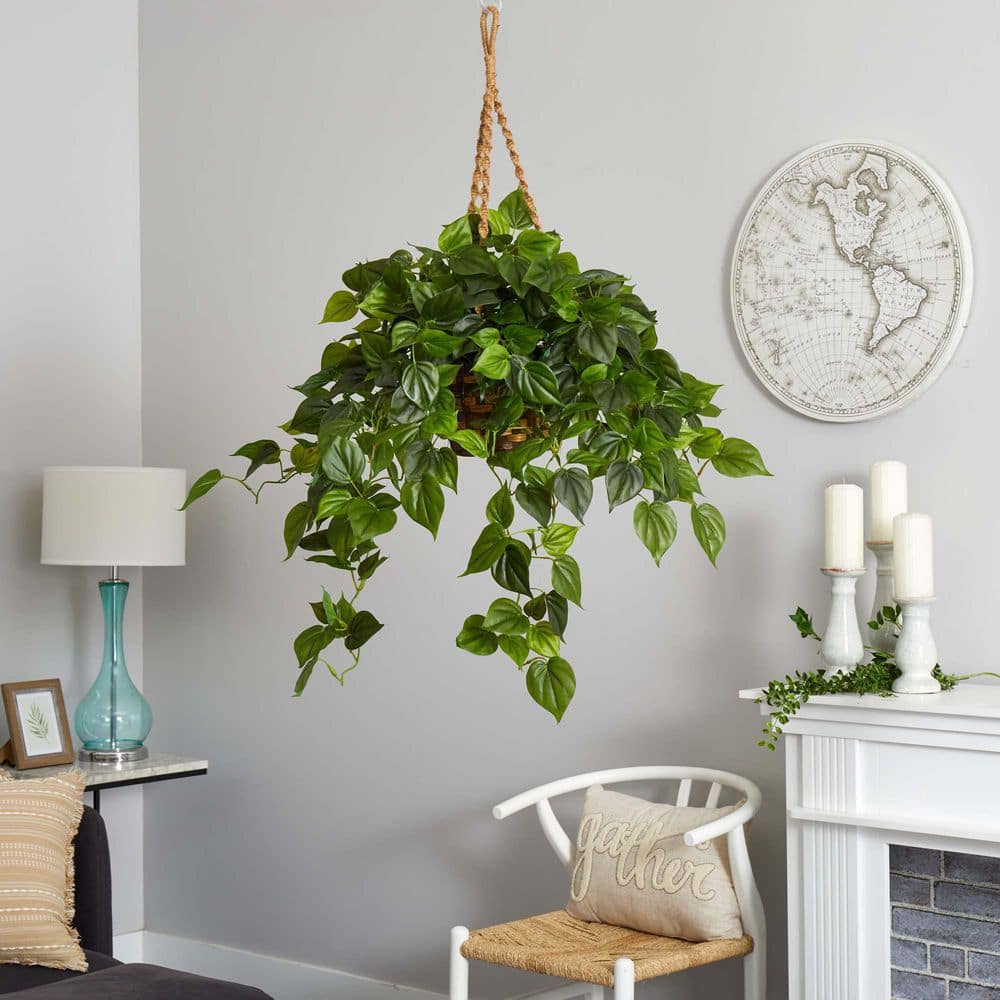 Outdoor UV Resistant Philodendron Hanging Basket