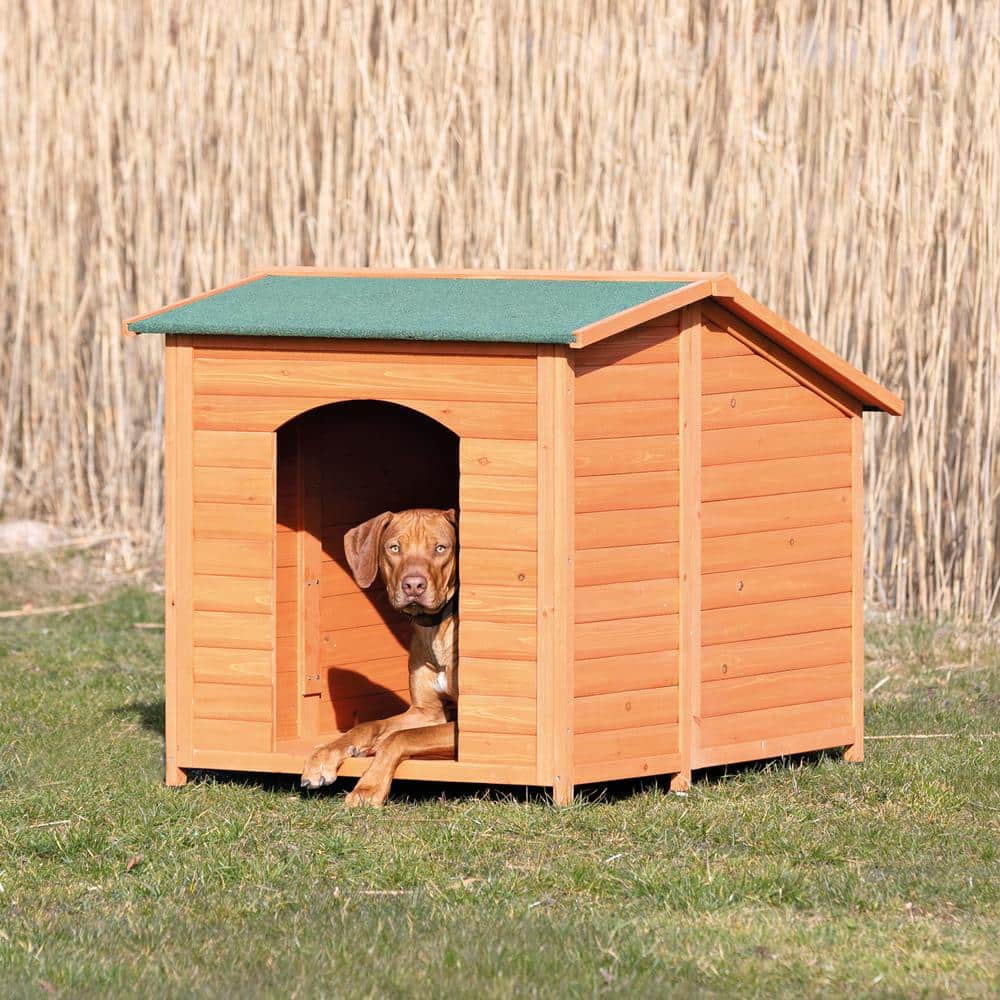 XXL Brown Pine Raised Floor Outdoor Dog House
