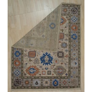 Beige Hand Knotted Wool Traditional Modern Knot Rug, 9' x 12', Area Rug