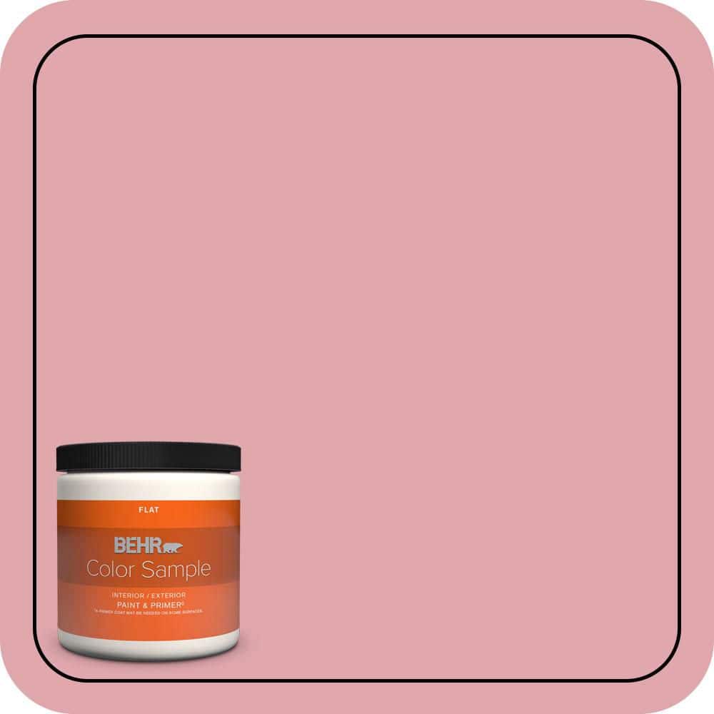 8 oz. #M150-3 Apple Blossom Flat Interior/Exterior Paint & Primer Color Sample price history on PriceWatchPro