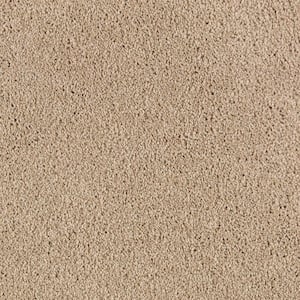 Ambrosina II  - Bittersweet - Beige 38 oz. Triexta Texture Installed Carpet