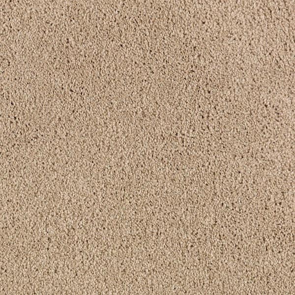 Ambrosina II  - Bittersweet - Beige 38 oz. Triexta Texture Installed Carpet