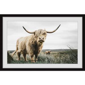"Roaming Cattle" by Marmont Hill Framed Animal Art Print 30 in. x 45 in.