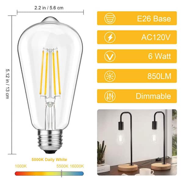 ZXXC Clear Glass Style 60-Watt Equivalent ST58 Soft White (2700K