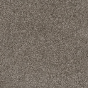 First Class II - Manor - Beige 50 oz. SD Polyester Texture Installed Carpet