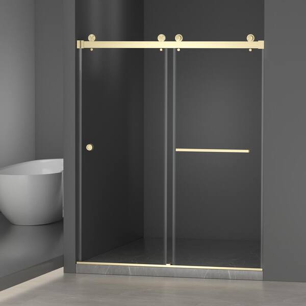 ZXDDMS 55 in.-59 in.W x 72 in.H Double Sliding Frameless Shower