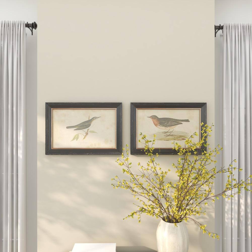 Black Framed Bird Print Wall Art Set, 20" x 14"