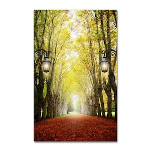19 in. x 12 in. "Plane Tree Alley" by Philippe Sainte-Laudy Printed Canvas Wall Art