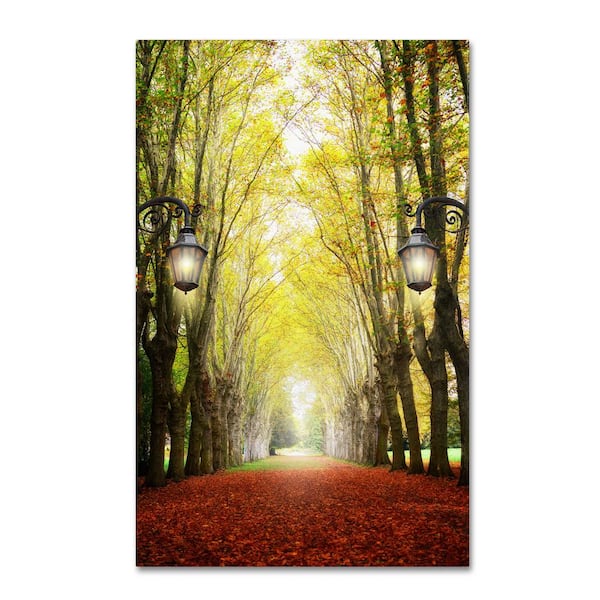 Trademark Fine Art 47 in. x 30 in. "Plane Tree Alley" by Philippe Sainte-Laudy Printed Canvas Wall Art