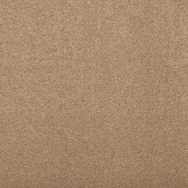 Lifeproof with Petproof Technology Hainsridge - Sandalwood Brown 68 oz. Triexta Texture Installed Carpet