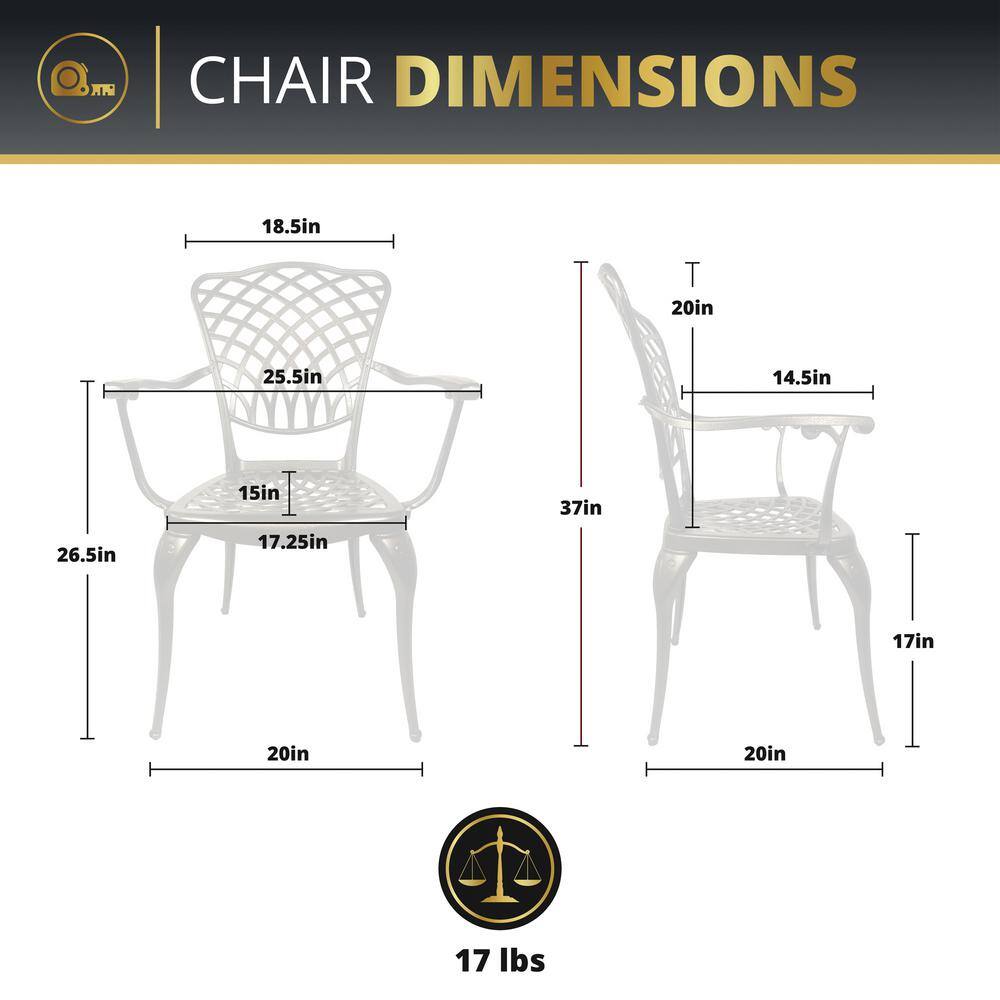 Bronze Cast Aluminum Outdoor Dining Chairs with Cushions, Set of 2