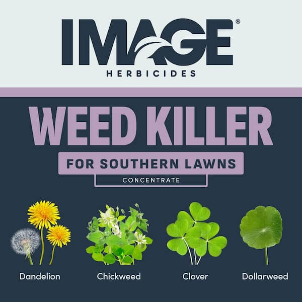 IMAGE 32 oz. Southern Lawn Weed Killer Concentrate for St. Augustinegrass  and Centipedegrass 100530416 - The Home Depot