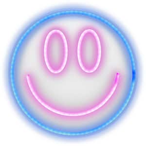 "Smiley Face" 1-Piece Unframed with LED Light Neon Sign, Home Wall Art 13 in. x 13 in.