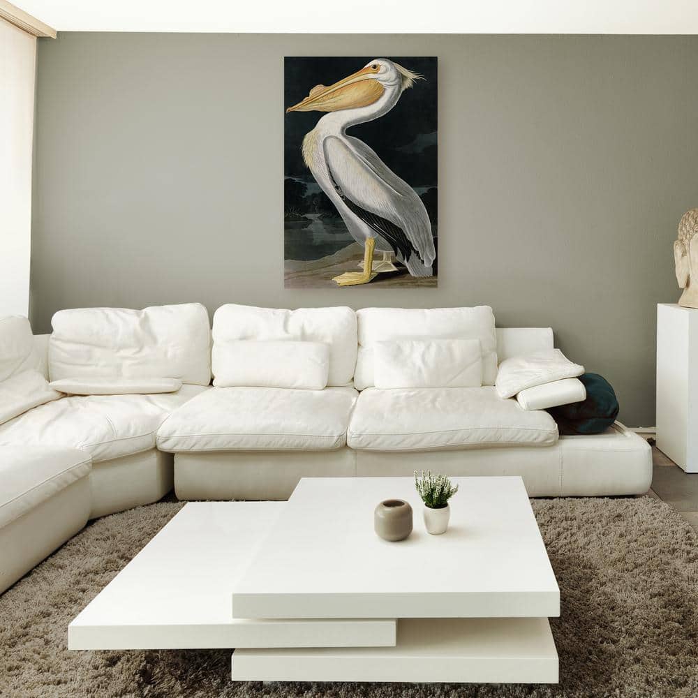 American White Pelican Graphic Art on Canvas