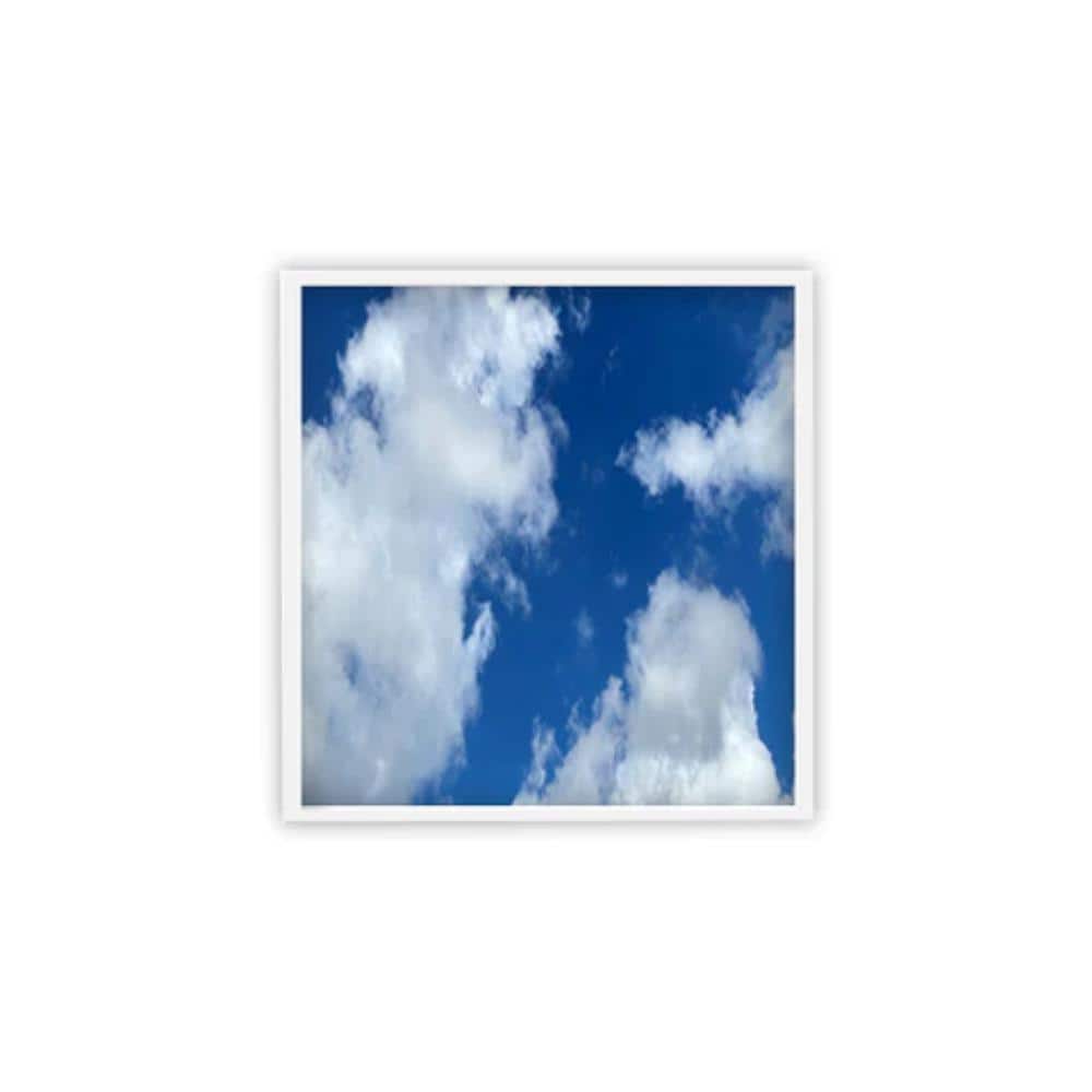 ELITE 2nd Gen : LED Flat Panel Cloud Design (4-Pack) price history on PriceWatchPro